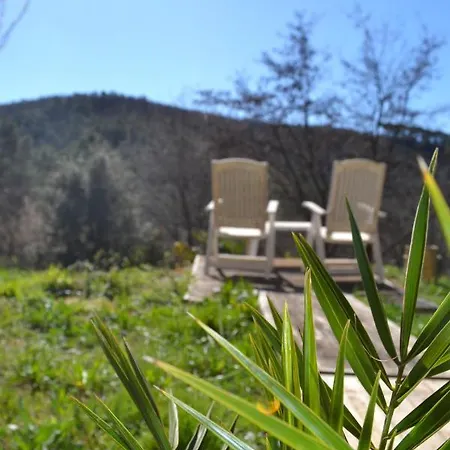 Cocoon 2-4 Ou 6 Pers Avec Jacuzzi Entre Anduze Et Ales *